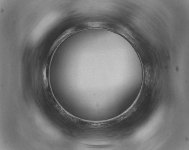 X0000067341198200604131718