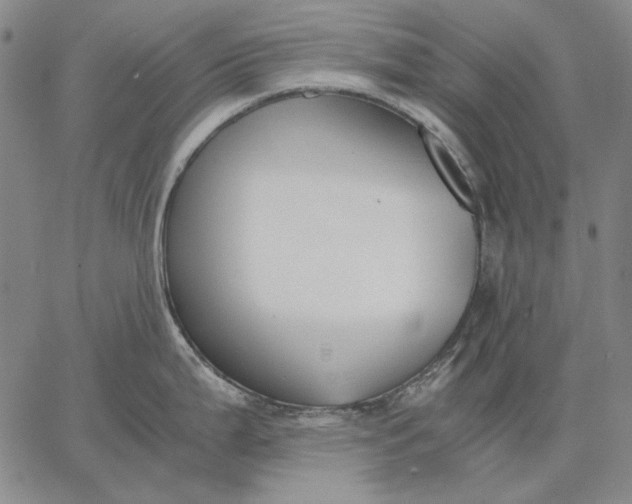 X0000067341199200604131718