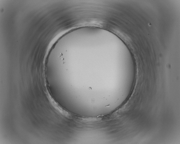 X0000067341200200604131718