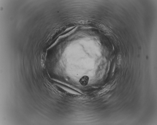 X0000067341202200604131717