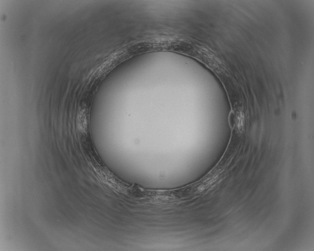 X0000067341204200604131717