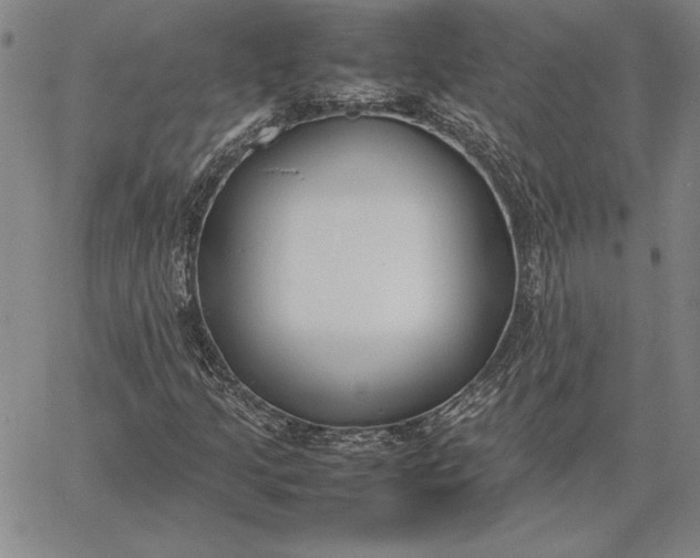 X0000067341205200604131717