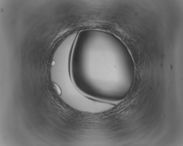 X0000067341206200604131717