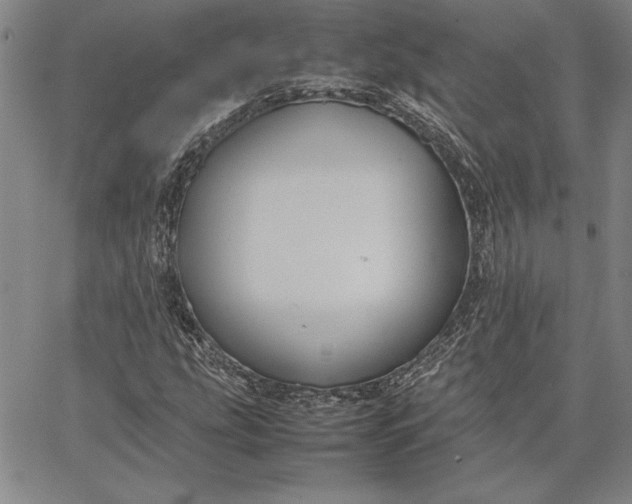 X0000067341207200604131717