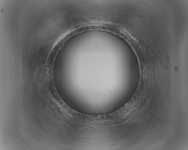 X0000067341208200604131717