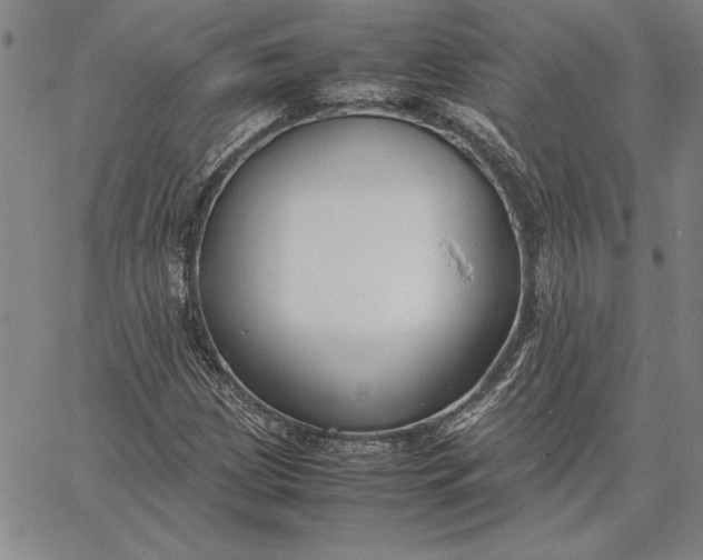 X0000067341209200604131717