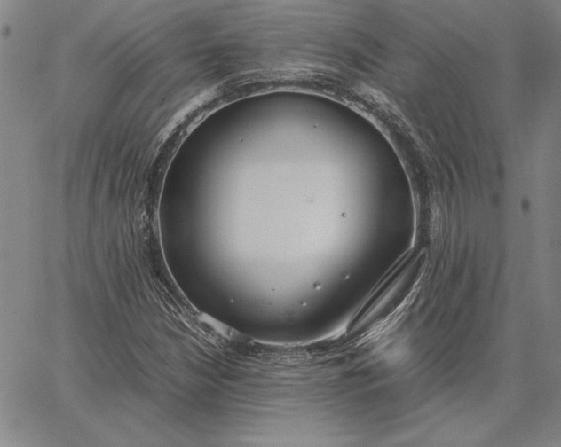 X0000067341210200604131717