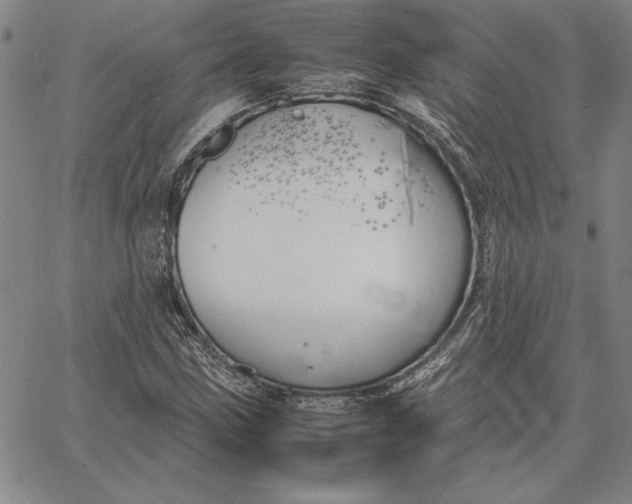 X0000067341211200604131717