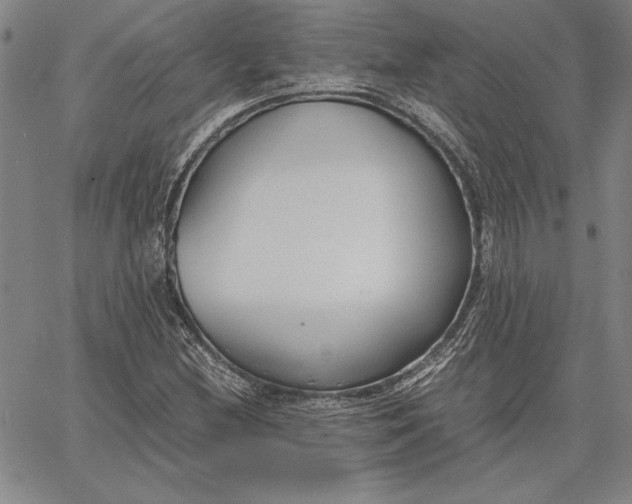 X0000067341212200604131717