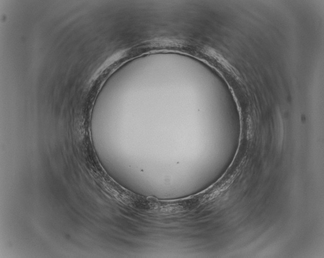 X0000067341213200604131717