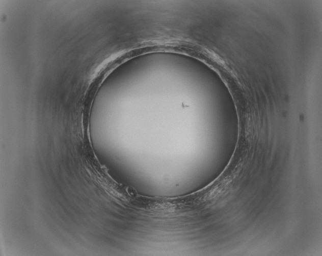 X0000067341214200604131717