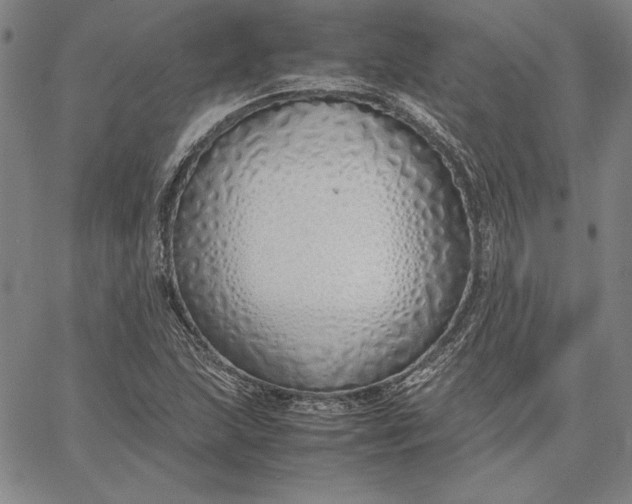 X0000067341215200604131717