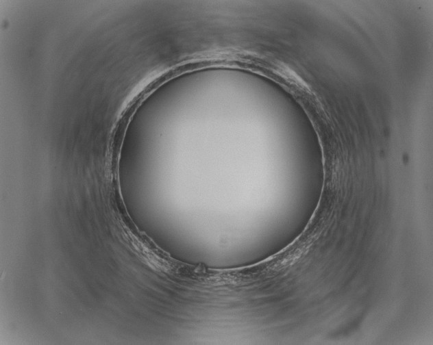 X0000067341216200604131717