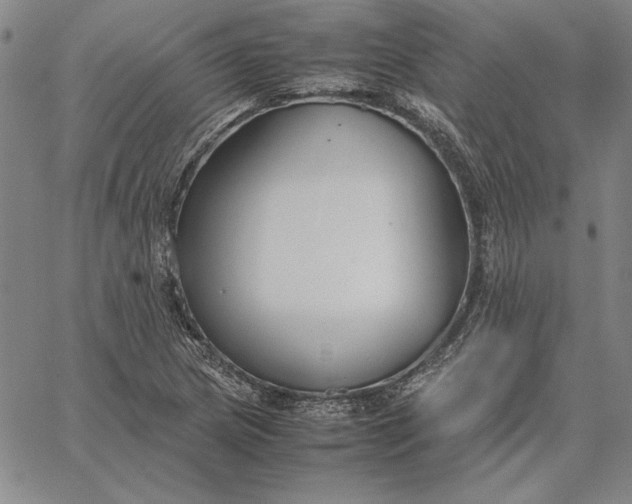 X0000067341217200604131717