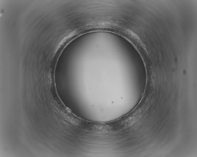 X0000067341218200604131717