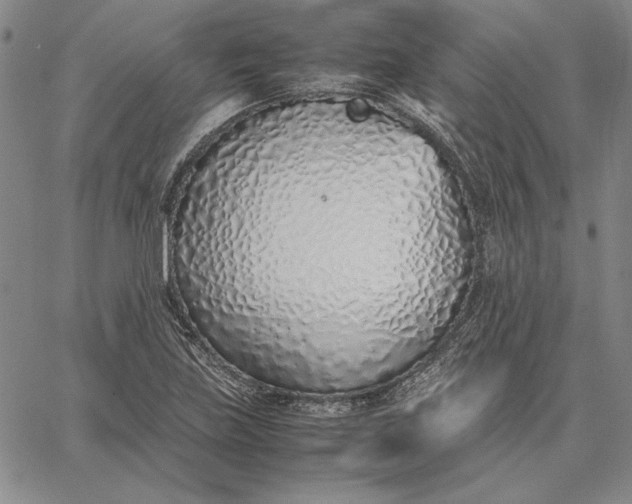 X0000067341219200604131717