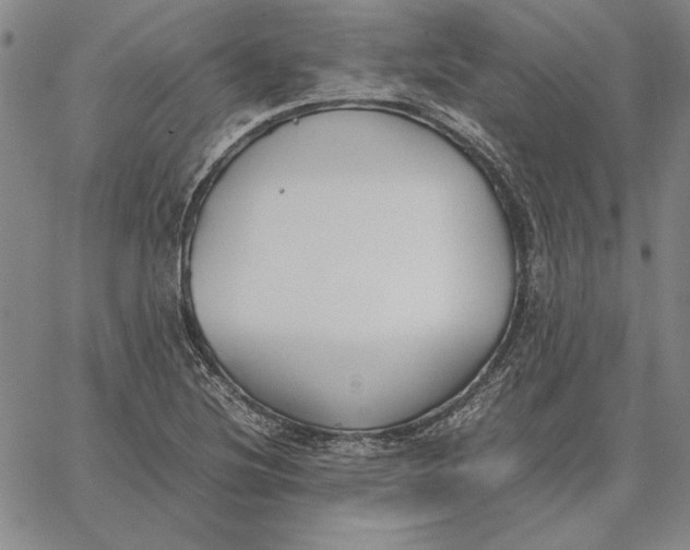 X0000067341220200604131717