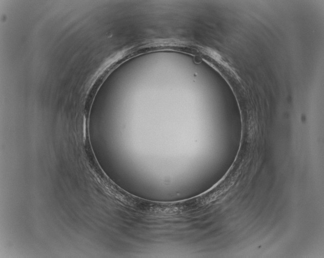 X0000067341221200604131717