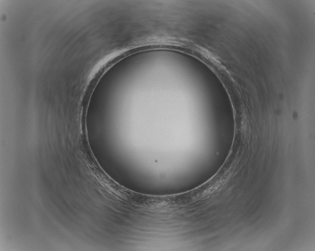 X0000067341222200604131717