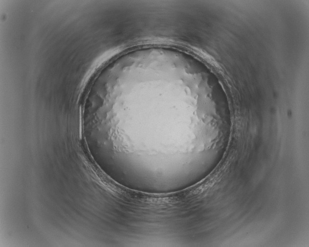 X0000067341223200604131717