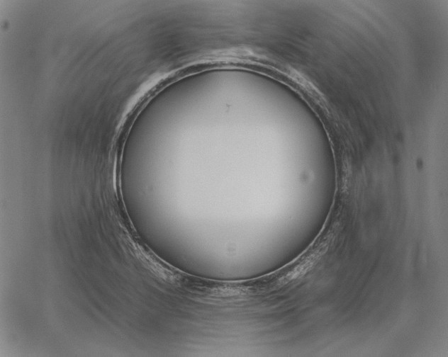 X0000067341224200604131717