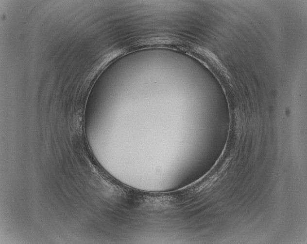 X0000067341225200604131717