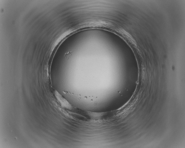 X0000067341226200604131717