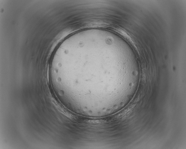 X0000067341227200604131717