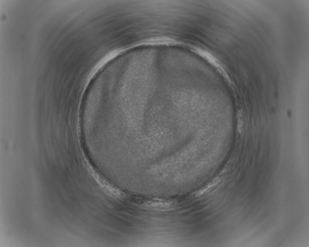 X0000067341229200604131717