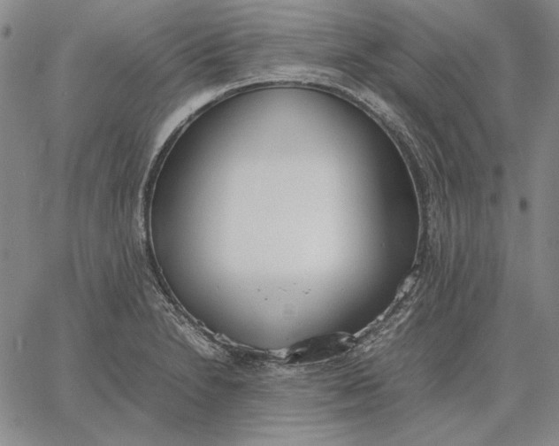 X0000067341230200604131717