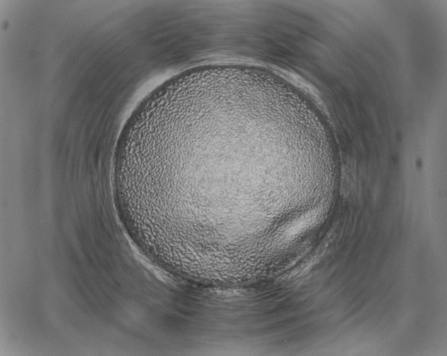 X0000067341231200604131717