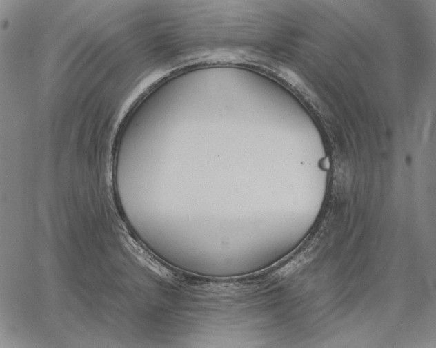 X0000067341232200604131717