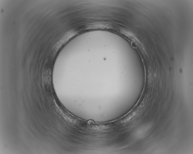 X0000067341233200604131717