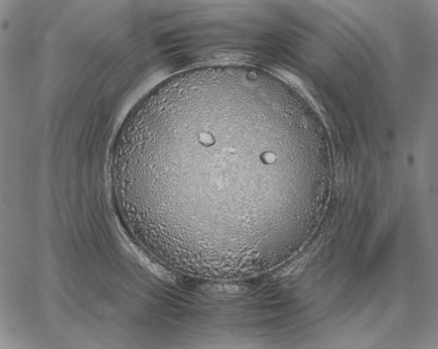 X0000067341235200604131717