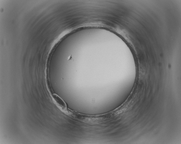 X0000067341237200604131717