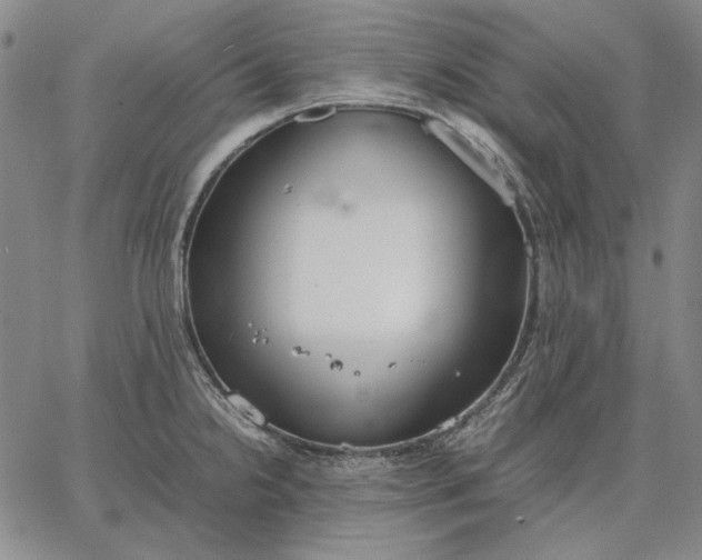 X0000067341238200604131718