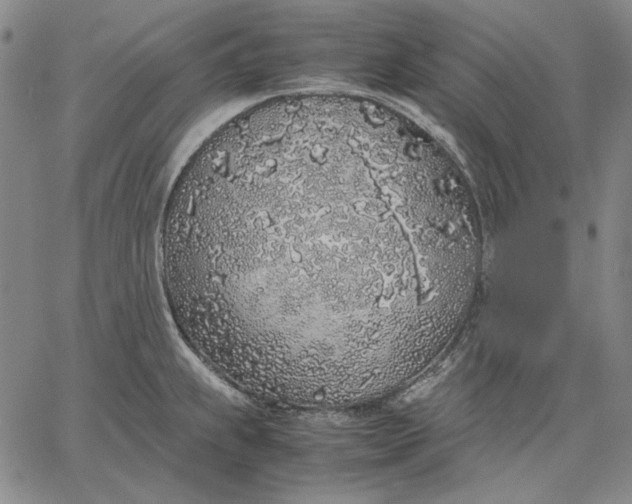 X0000067341239200604131718