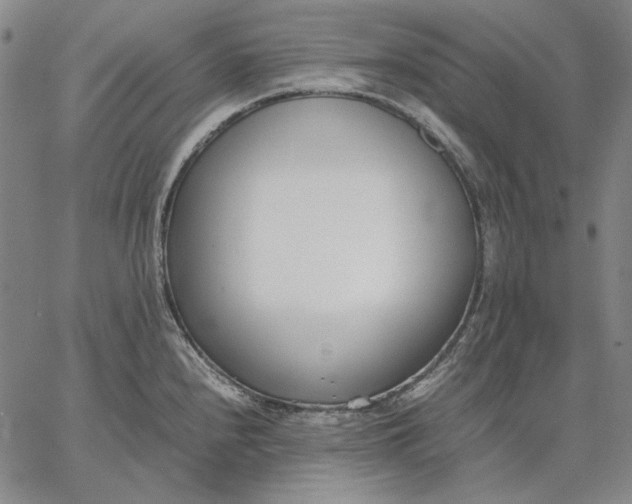 X0000067341240200604131718