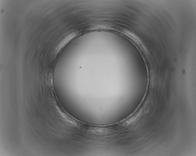 X0000067341241200604131718