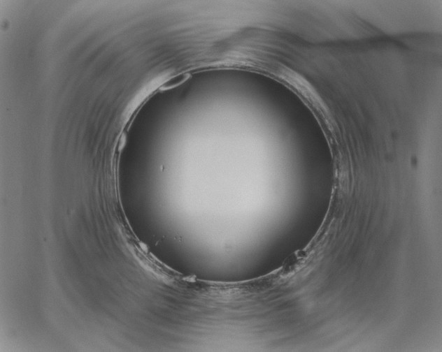 X0000067341242200604131718