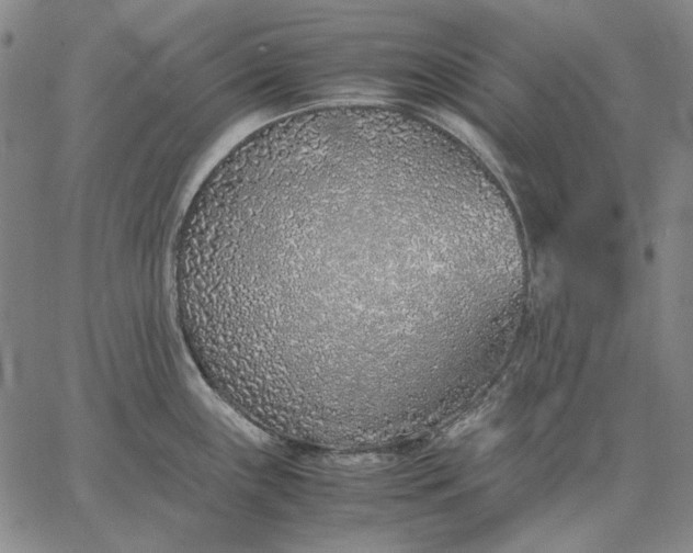 X0000067341243200604131718