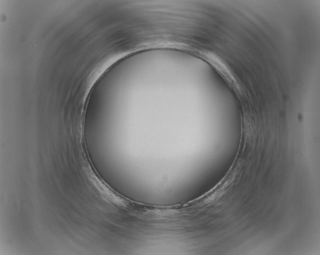 X0000067341244200604131718