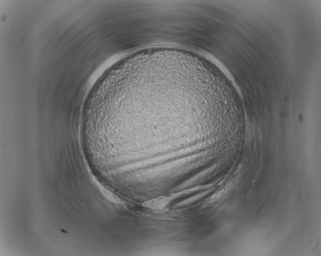 X0000067341245200604131718