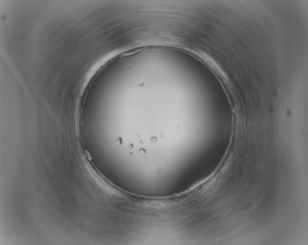 X0000067341246200604131718