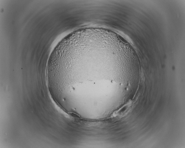 X0000067341247200604131718