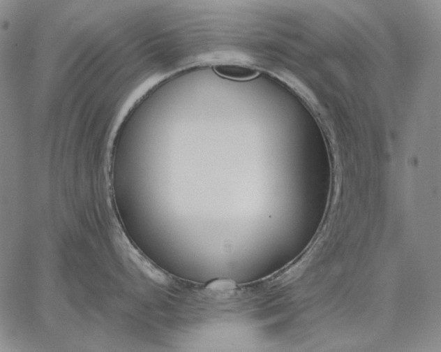 X0000067341248200604131718