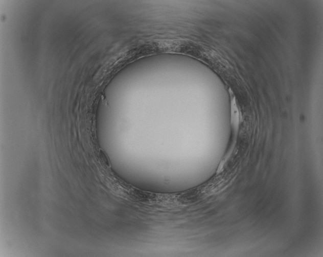 X0000067341249200604131717