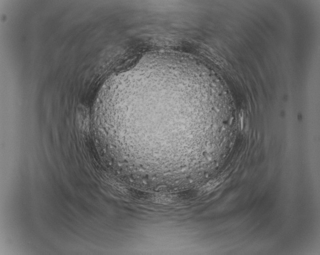 X0000067341251200604131717