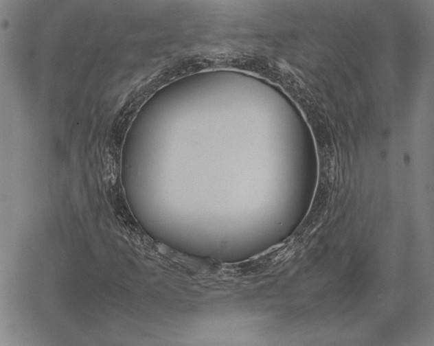 X0000067341253200604131717