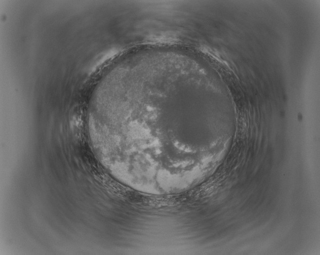 X0000067341254200604131717